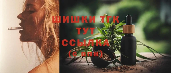 индика Баксан