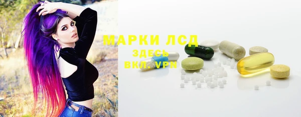дживик Богородск