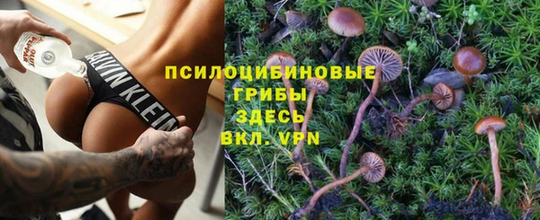 дживик Богородск