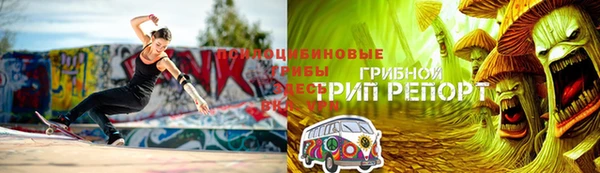 дживик Богородск