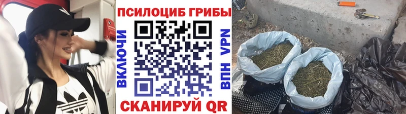 наркотики  Бобров  даркнет какой сайт  Галлюциногенные грибы Psilocybine cubensis 